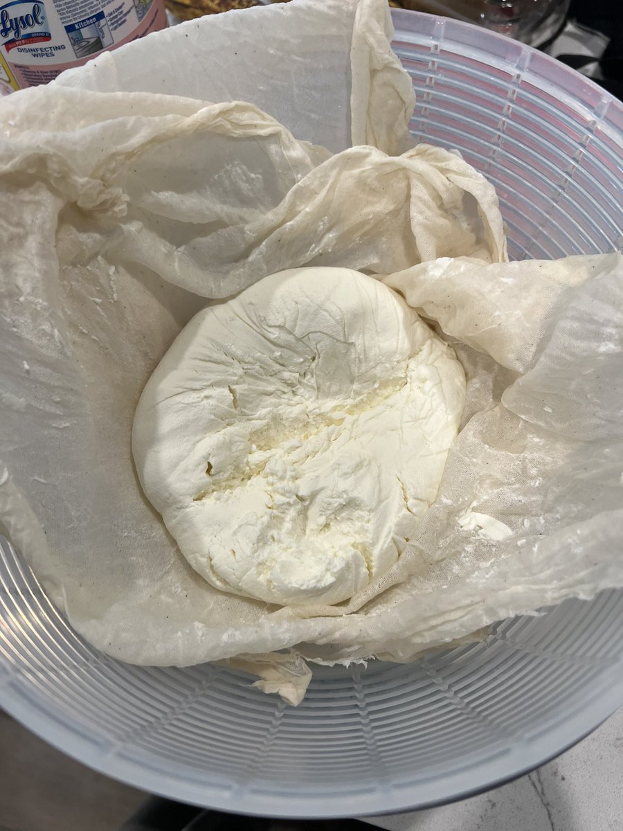 THE YOGURT HAS BEEN MADE

(I know it looks kinda sus but it’s been strained to be thicker like Greek yogurt.  it tastes banger so that’s all that matters!!)