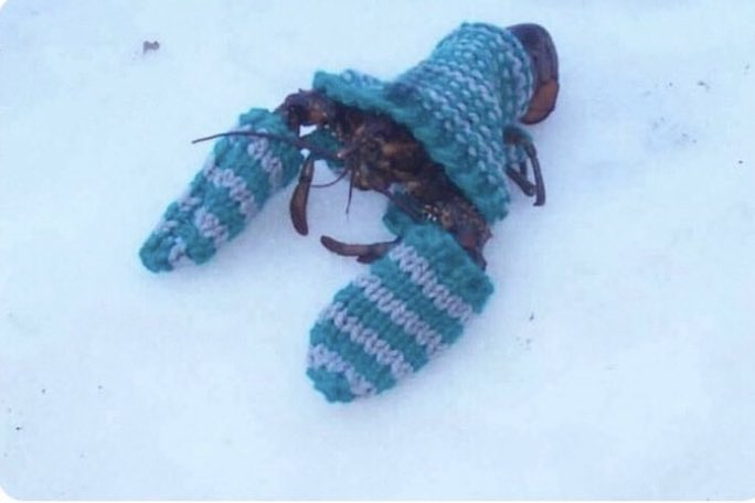 East Coast Lifestyle