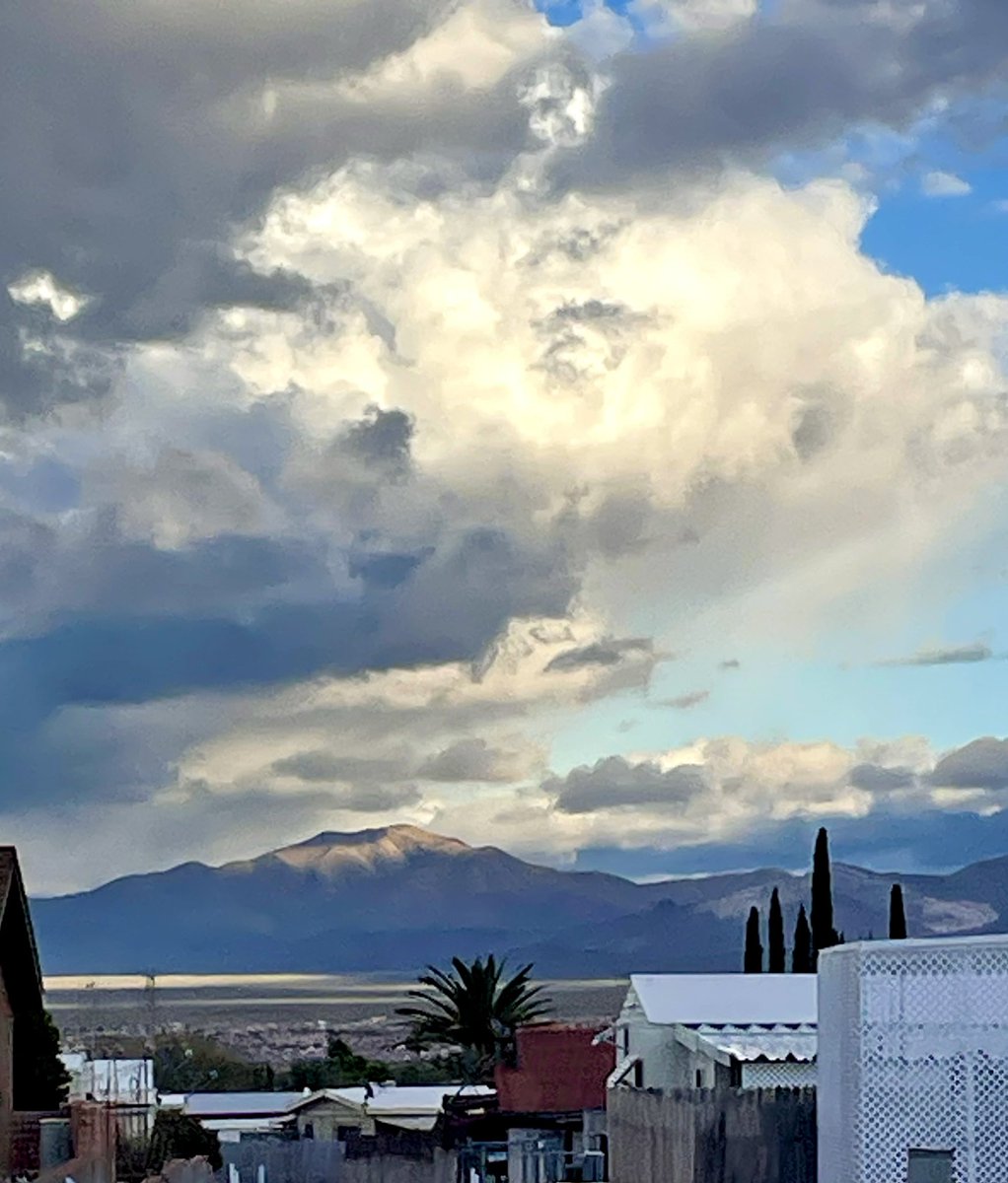 My afternoon walk with my mom’s pup…. #arizona #greenvalley  🏔️🌵