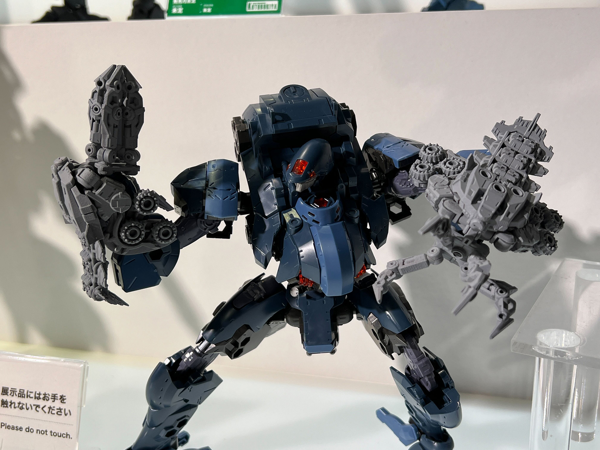 Timeless Dimension タイムレス ディメンション on X Timeless Dimension タイムレス ディメンション on X