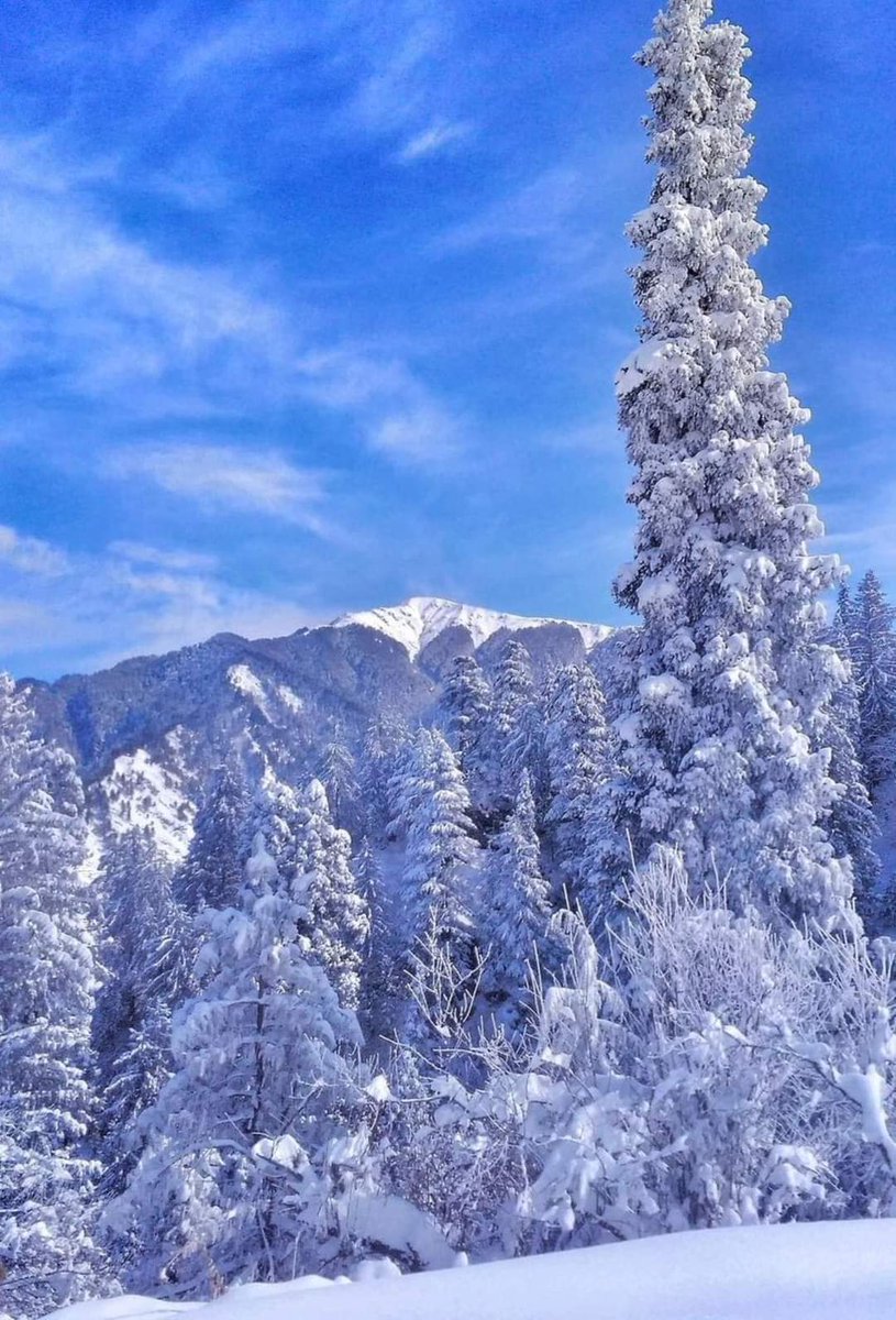 piyush_panatu's tweet photo. After the weather cleared, #MuralDanda from #Sungri looked as if nature itself had created a #Paradise.
#snowfall #himachal
#rohru #rampurbushahr
#jubbal #Shimla https://t.co/EPoNZyBQZr
