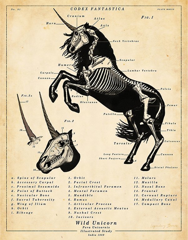 If you explore the science lab you're sure to come across some mind bending anatomical charts. Managed to reuse an old project for some sneaky easter eggs. 🙈

#gameart #gamedevelopment #SCP #fantasy