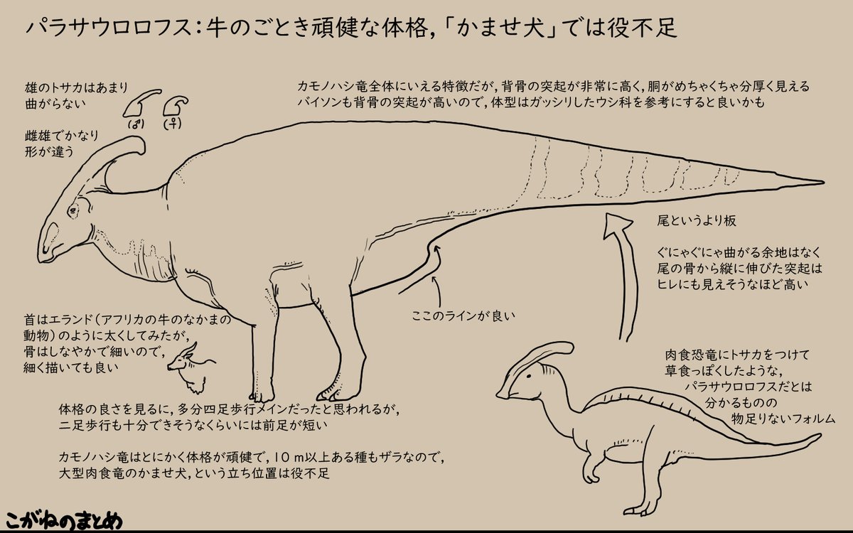 恐竜を描こう!2/4 