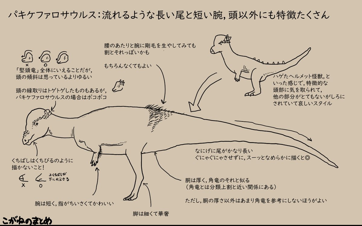 恐竜を描こう!3/4 