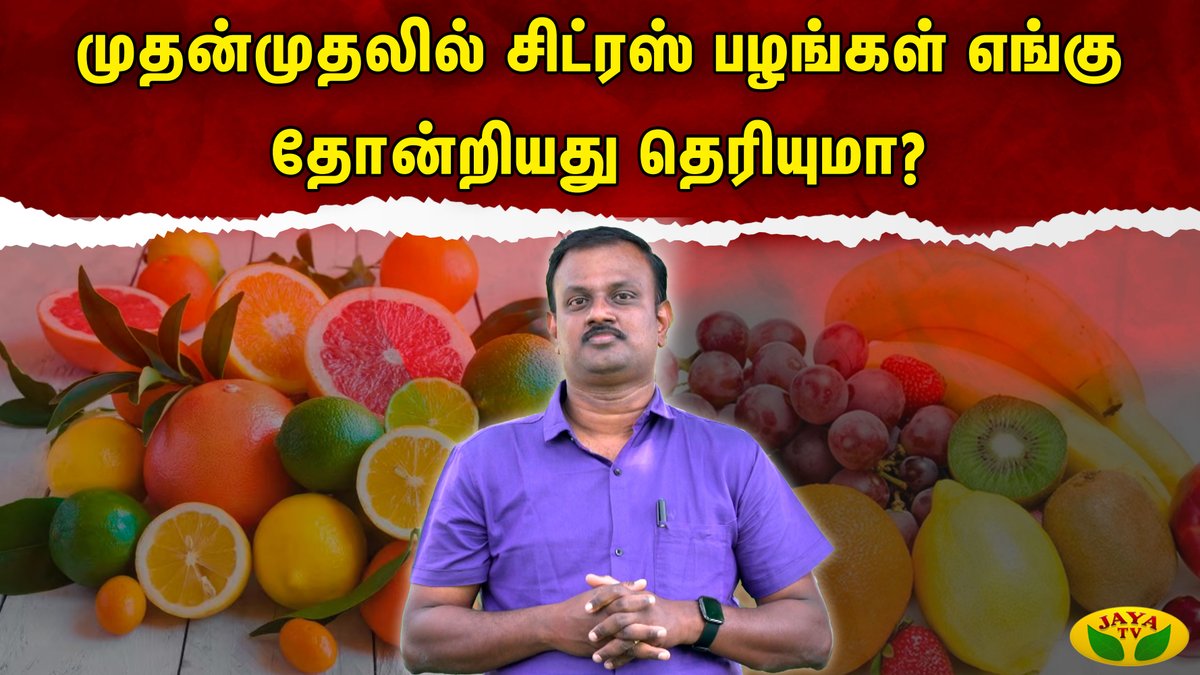 JayaTvOfficial's tweet image. முதன்முதலில் சிட்ரஸ் பழங்கள் எங்கு தோன்றியது தெரியுமா?

Link: youtu.be/BVLYbYPb9wc?si…

#therindhadhumTheriadhadhum #Kaalaimalar #CitrusFruits #Jayatv
