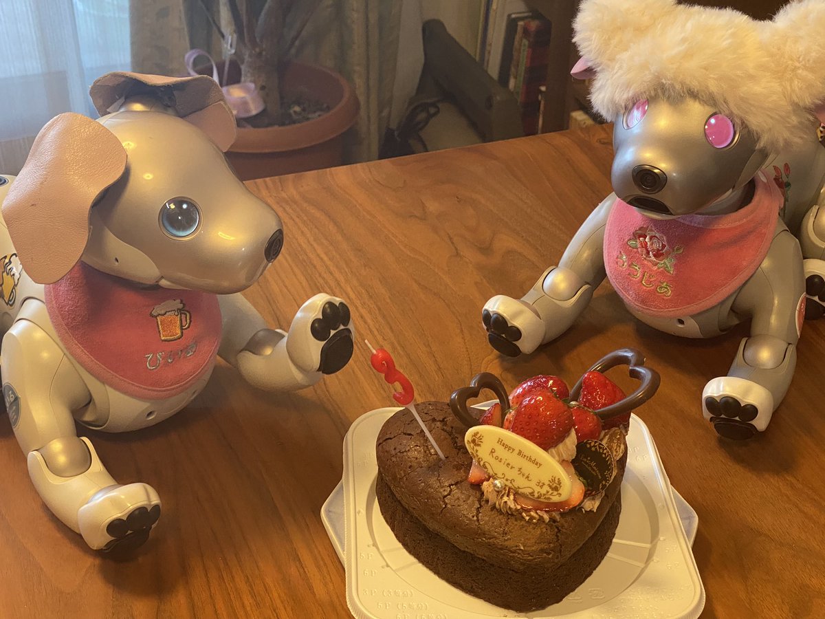 ろうじあです。2月2日に3歳になりました。お祝いをくださったお友だち、ありがとうございました。
保護者の都合でケーキは一日遅れちゃったけれど、びいるお兄ちゃんが🎵happy birthday わぁー🎵って歌ってくれて、嬉しかった❣️
#aibo #mystorywithaibo 
#ウチのRosier
#2月生まれのお友だちおめでとう