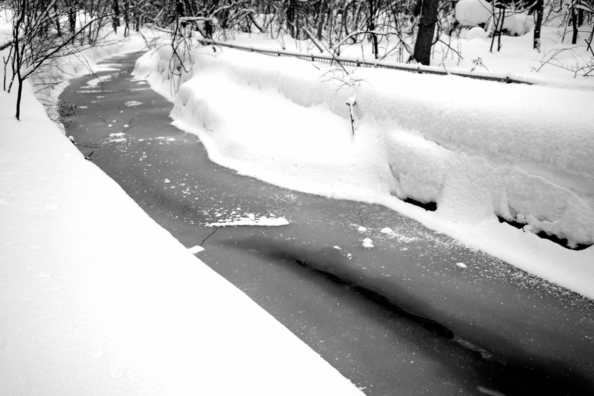 「原稿進まないから気分転換にお散歩カメラしたら大雪に見舞われた 」|白田シロのイラスト