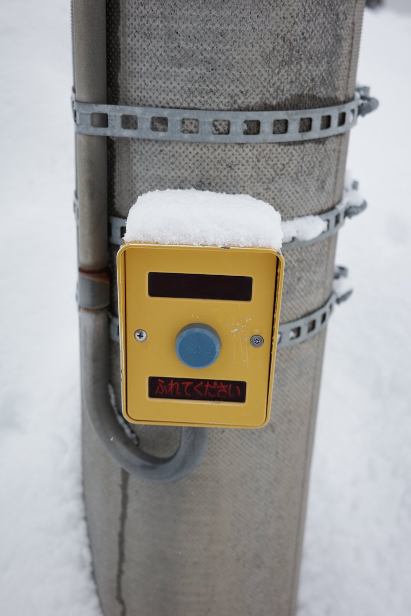 「原稿進まないから気分転換にお散歩カメラしたら大雪に見舞われた 」|白田シロのイラスト