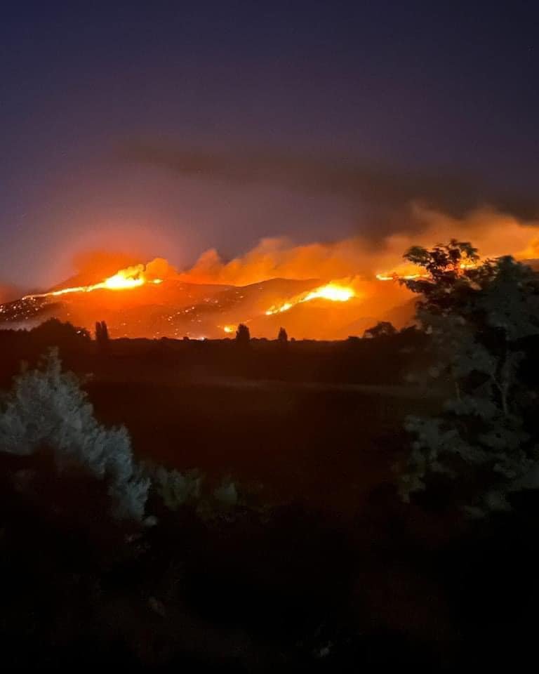 Victor_Curico's tweet photo. EN ESTE MOMENTO | Incendio Forestal en sector de Orilla de Valdes en la comuna de #Hualañé. #IF 🔥 @conaf_minagri @incendios_CONAF @conaf_maule