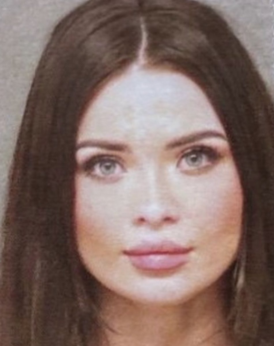 WouldonSol's tweet photo. Charged with "wet and reckless DUI" 

$WOULD https://t.co/tCiZDJfonE