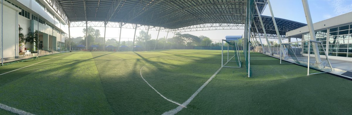 Alison Fox tweet media