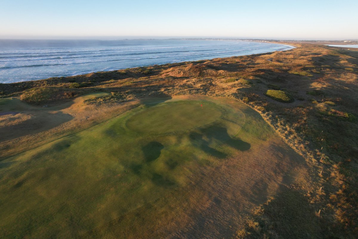 Alex Strauch tweet media