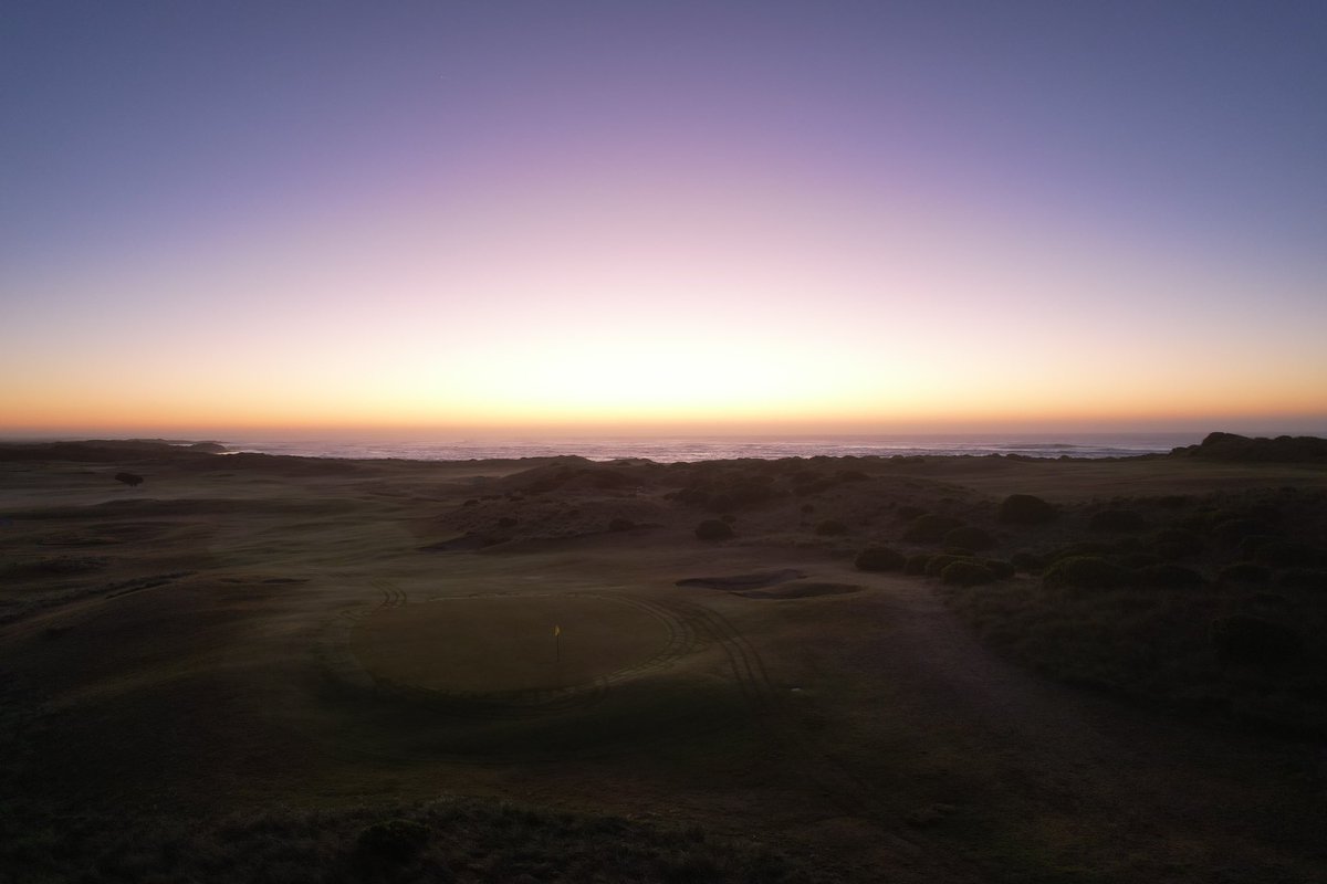 Alex Strauch tweet media