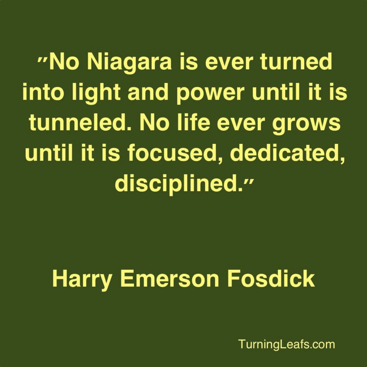 ir0nw1l's tweet photo. your power and ability only generate power when you get focused and disciplined, then you will see amazing results! #HarryEmersonFosdick #TransformationCoach #GrowthCoach #ChristianCoach #aSignificantLife #WaketheLions #TLYAW #TurningLeafs https://t.co/EEDyOFnxD9