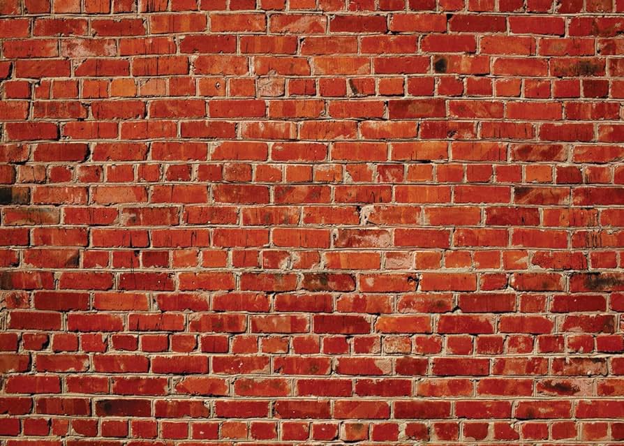 UtahGrizzlies's tweet photo. Actual photo of Cranley so far tonight: https://t.co/UxC8sKdt8i