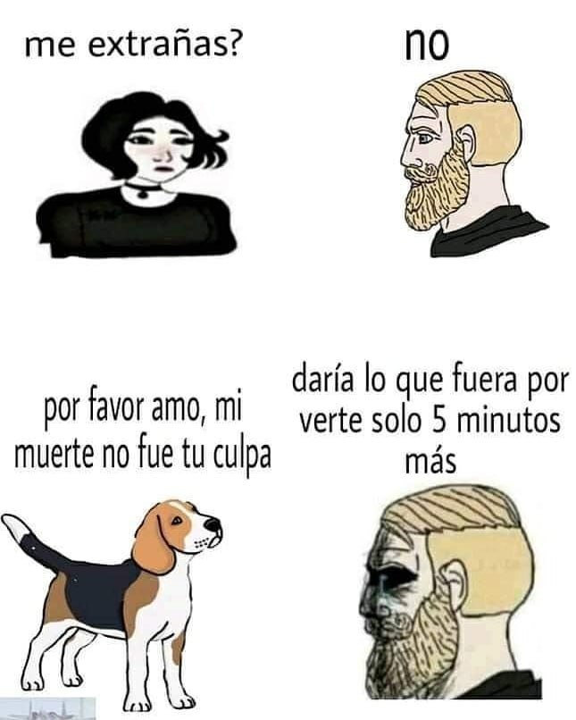 Alejo tweet media