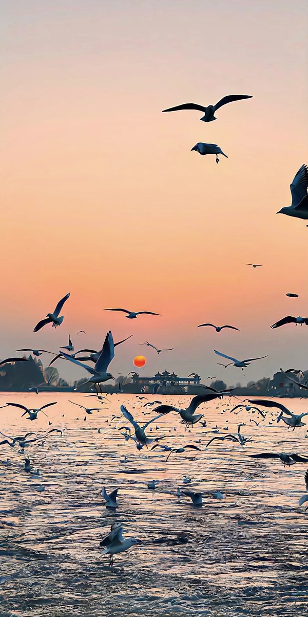 Chúc mọi người một ngày tốt lành 🥰 Hôm nay em đã quay vào ô chúc bạn may mắn lần sau rồi 😂😂😂