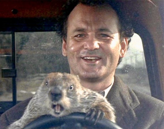 WTLocke's tweet image. Happy #GroundhogsDay EX Brothers @ #EtaChapter …. Great weekend 4A 47th Annual Bash of a Party! @UMsigmachi … smart to co-opt law enforcement too b4 turning the music up loud … #ZekeNation