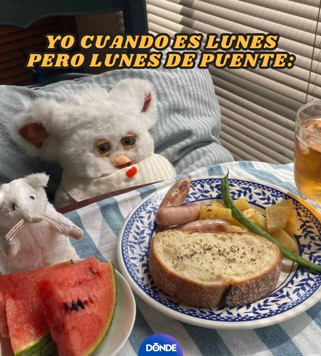 DONDEIRweb's tweet photo. Qué agusticidad ✨ https://t.co/twPYp9lxAK