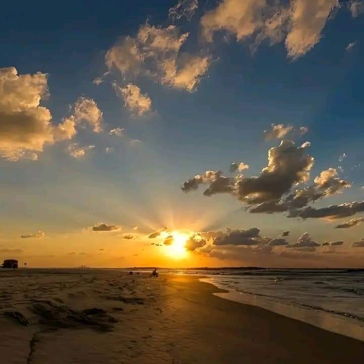 tosee11289753's tweet photo. Good morning my friends and x family👪 https://t.co/vqpS4ee2CF