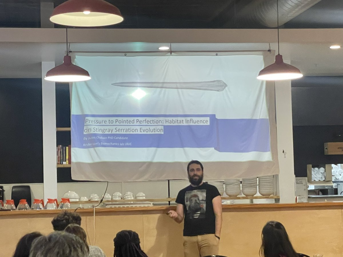 Yeeeooouch! Jules Chabain stabbed our interest explaining the evolution of stingray serration!