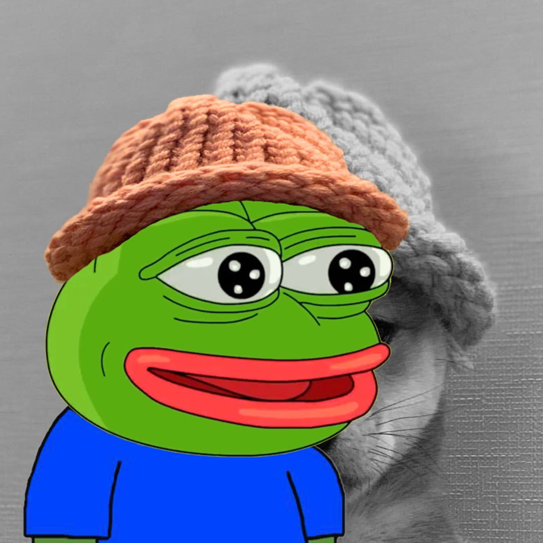 pepewifhat tweet media