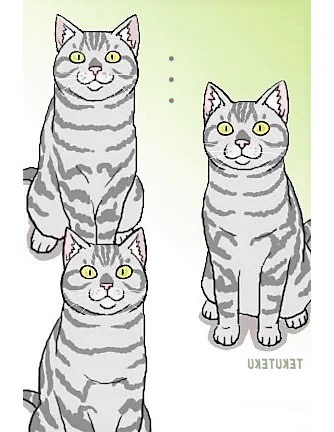 万垢になって改めて😅ツイ消し&amp;うpし直し常習なのでご容赦を🙏🐱ニャー💚
絵や文で気になった箇所があると一応うp後10分以内ならという自分なりのざるルールがあって消すことが💦 