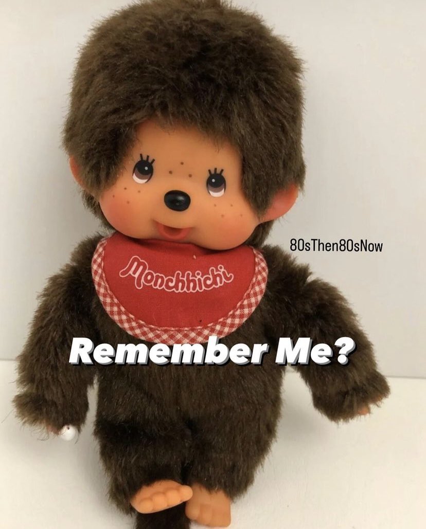 These Little Monkeys Were EVERYWHERE in the 1980s! 

#moncchichi #80stoys #80sbabies #80sbaby #80skids #childhoodmemories
