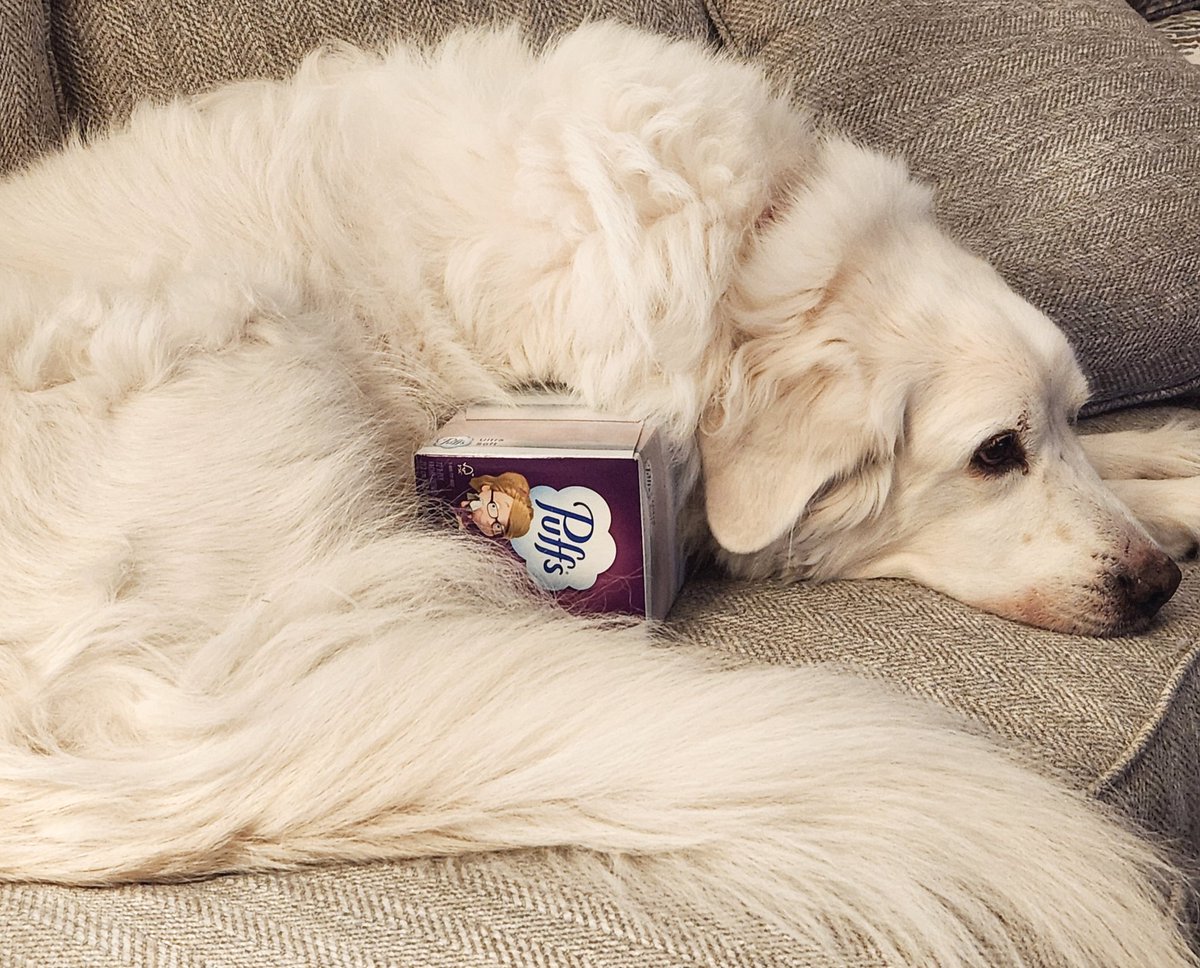 Sara Ritchie tweet media