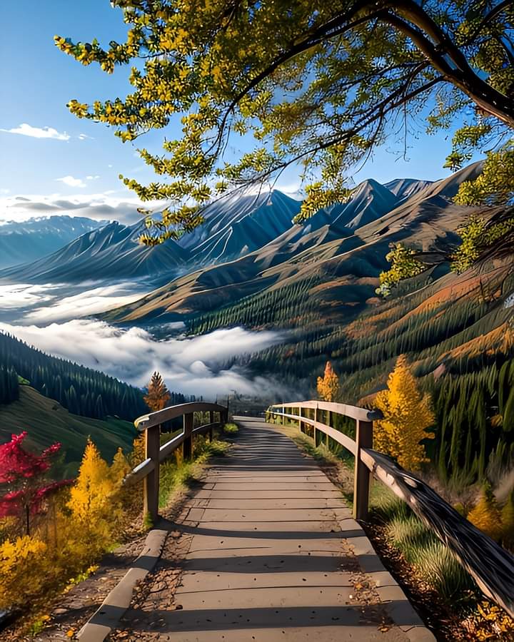 Have a great Saturday 🍃🍂
Pinterest 📷
