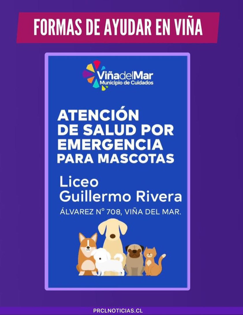 carolinapinoc's tweet photo. Ayuda animales #Viña https://t.co/qsFweu3yR9