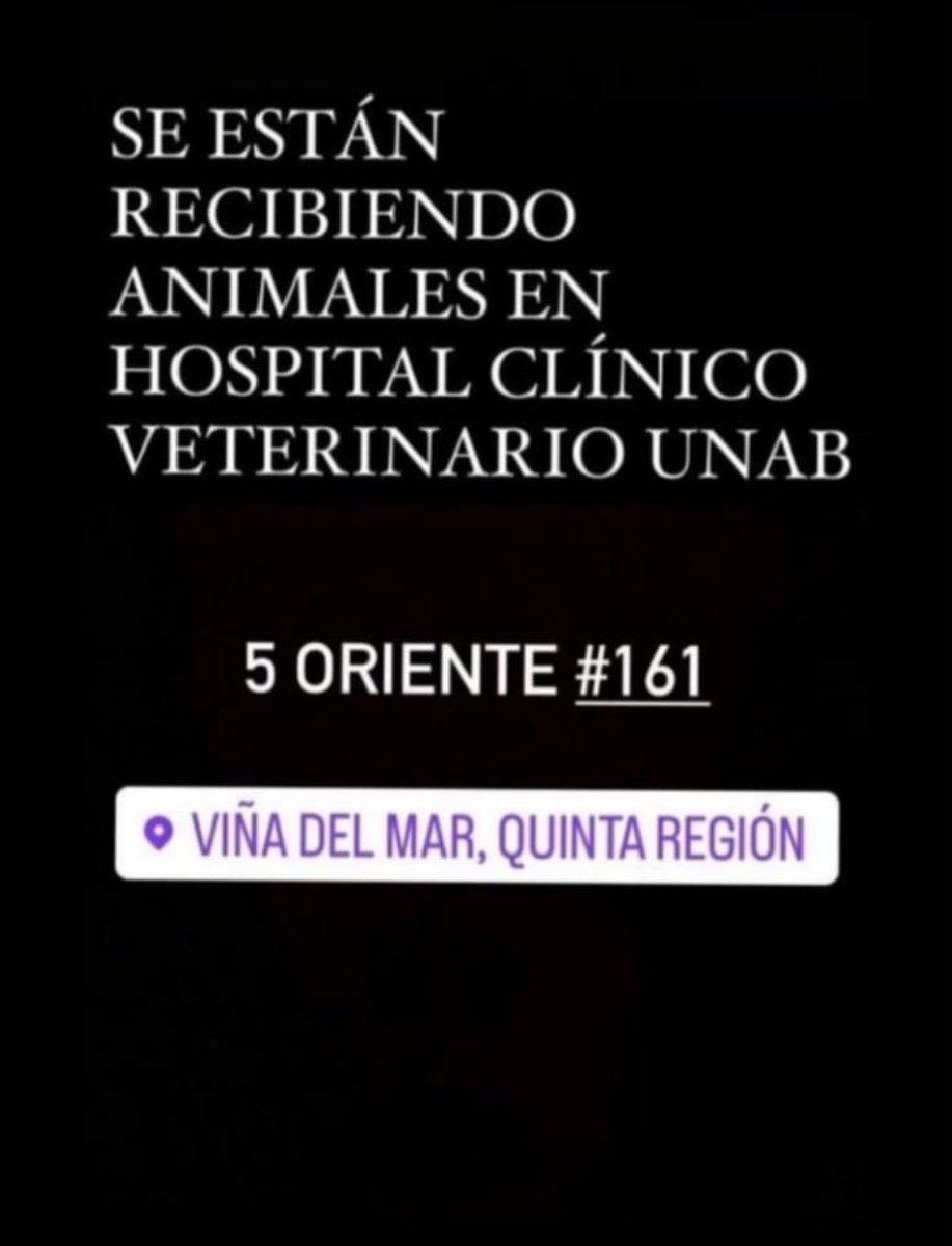 carolinapinoc's tweet image. Se están recibiendo animalitos en Unab Viña ! RT xfa