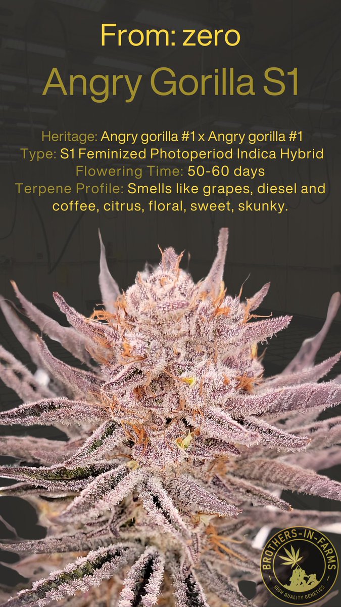 sugarleafpacks tweet media