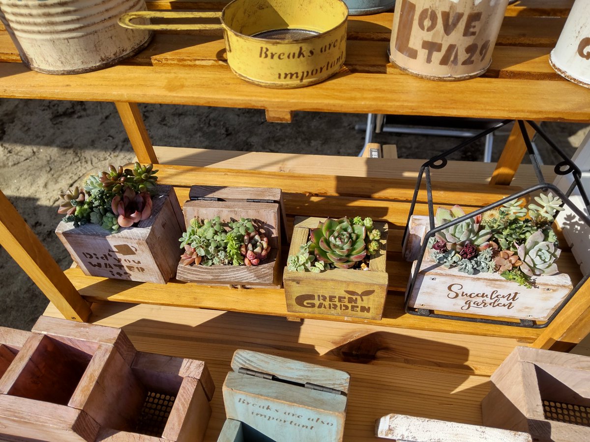 nakapapa2's tweet image. 稲沢の国分寺マルシェに出店中です
ハンドメイド＆多肉植物　BOOW
#BOOW 
#国分寺マルシェ
#ハンドメイド
#リメイク
#多肉植物
#稲沢