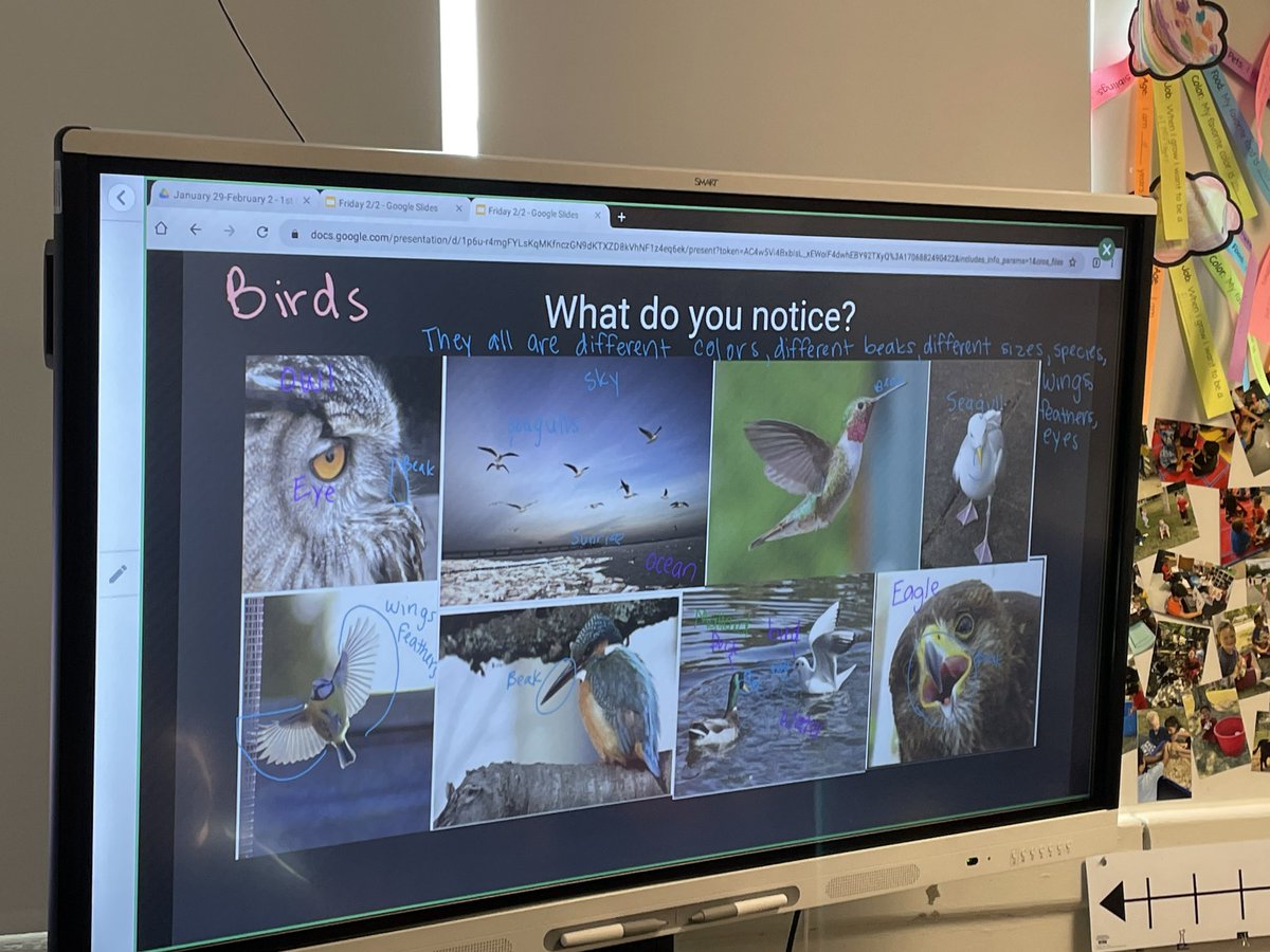 KaylaJoAdams's tweet photo. We loved kicking off our newest #PBL on birds with Dr. Dodo! We did a PWIM on birds followed by a bird walk and scientific drawings of birds. To end part 1 of our launch, one student requested to do a gallery walk to see other classmate’s drawings! @KenwoodElementa @FirstKenwood https://t.co/gqRFsKtMha