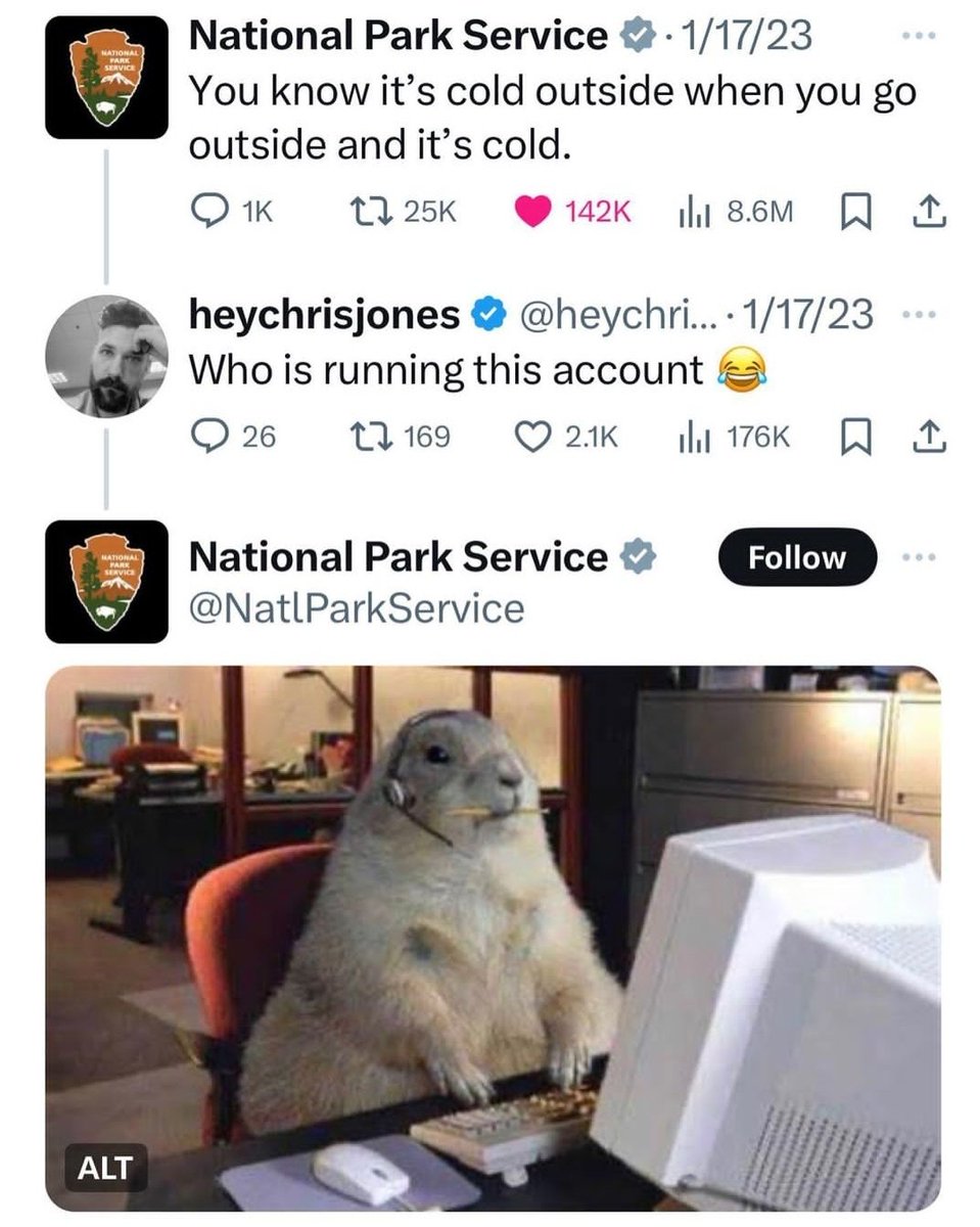 mischiefanimals's tweet photo. https://t.co/kAtpCusU0O