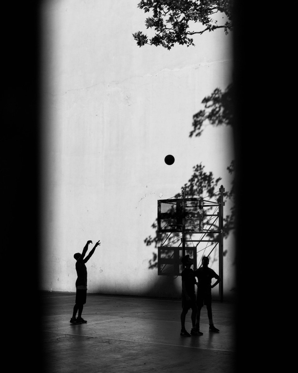 blissphish's tweet image. SOLD 🤯

As if today wasn’t good enough, @238_wh just swooped in and grabbed 2 pieces from “Monochromatic Manhattan” 

I’m at a loss for words my friend…

“Swish” &amp;amp; “Dog Day Afternoon” 

See full collection ⬇️