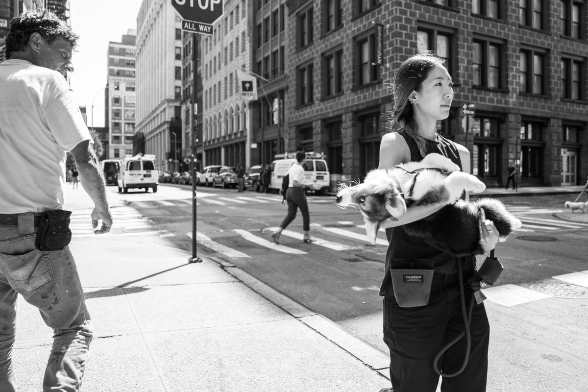 blissphish's tweet image. SOLD 🤯

As if today wasn’t good enough, @238_wh just swooped in and grabbed 2 pieces from “Monochromatic Manhattan” 

I’m at a loss for words my friend…

“Swish” &amp;amp; “Dog Day Afternoon” 

See full collection ⬇️