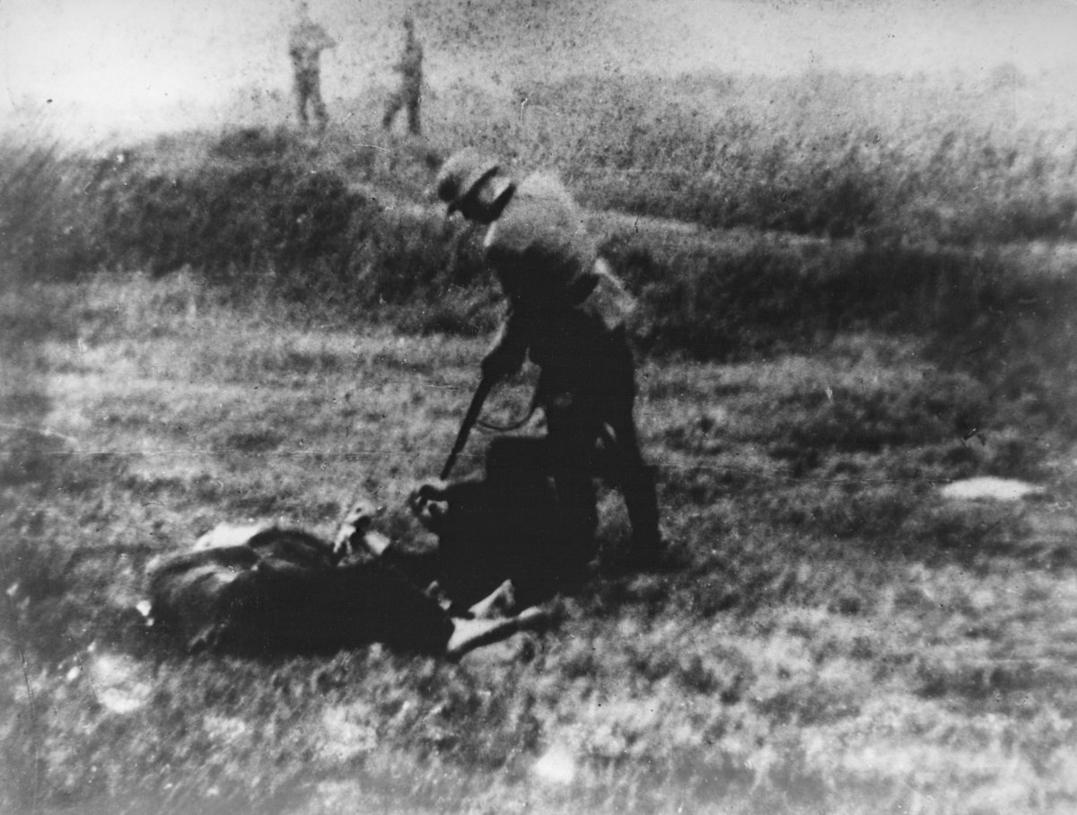 JamesClay1917's tweet photo. 🧵Bombshell revelations from the #Rodal Report, which exposes the entire #Deschenes Commission of ‘Inquiry’ into #WarCriminals in Canada as a pack of lies.
The Canadian state protected a #fascist concentration camp commander responsible for the deaths of some 700,000 people. https://t.co/B5cDul7K7v