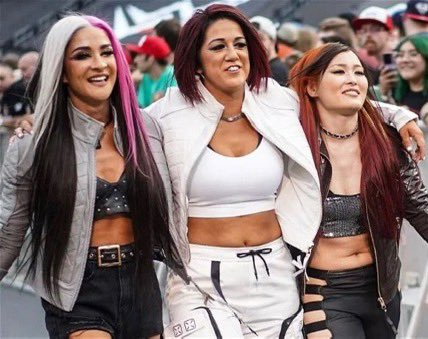 MistedSister's tweet image. 2022-2024: R.I.P #DamageControl

#Smackdown