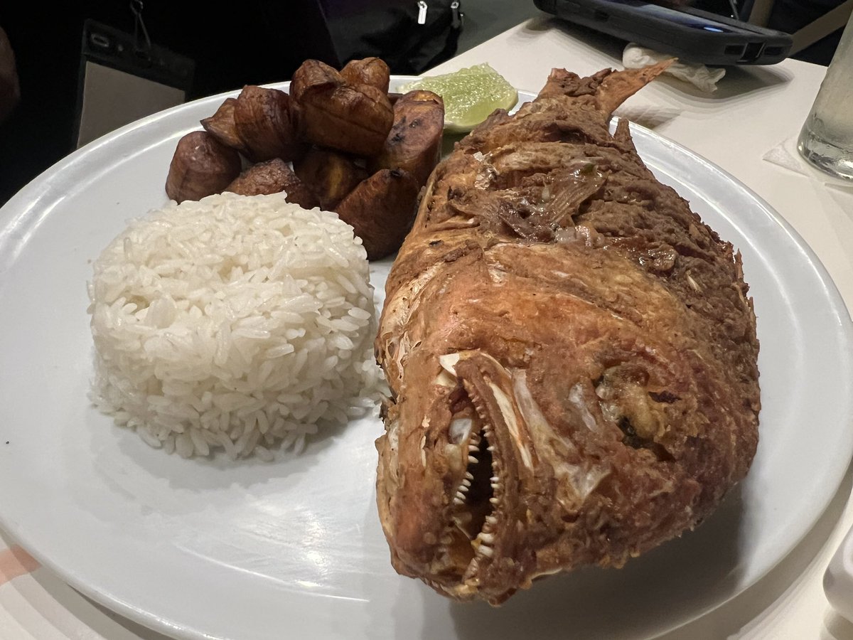 jeremywaisome's tweet photo. @DrJLMooreIII @NSF @Atayliya_ Then we rode over to the historic Colonial Zone, a UNESCO world heritage site!  We had dinner at Restaurante Imperial. I got to practice my Spanish a lot today! The restaurant staff were so kind and the food was delicious. #BICE2024 https://t.co/8ntvdKtAwk