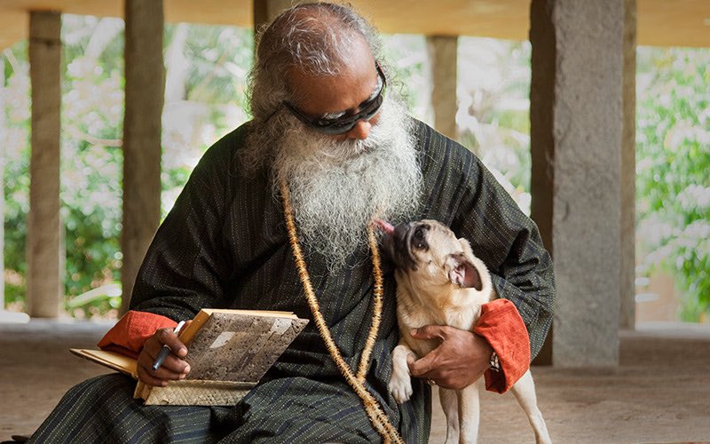 SadhguruJV's tweet photo. Consciously choosing to include another life as a Part of You is the most beautiful thing you can do. #SadhguruQuotes https://t.co/x3NjLkn9eI