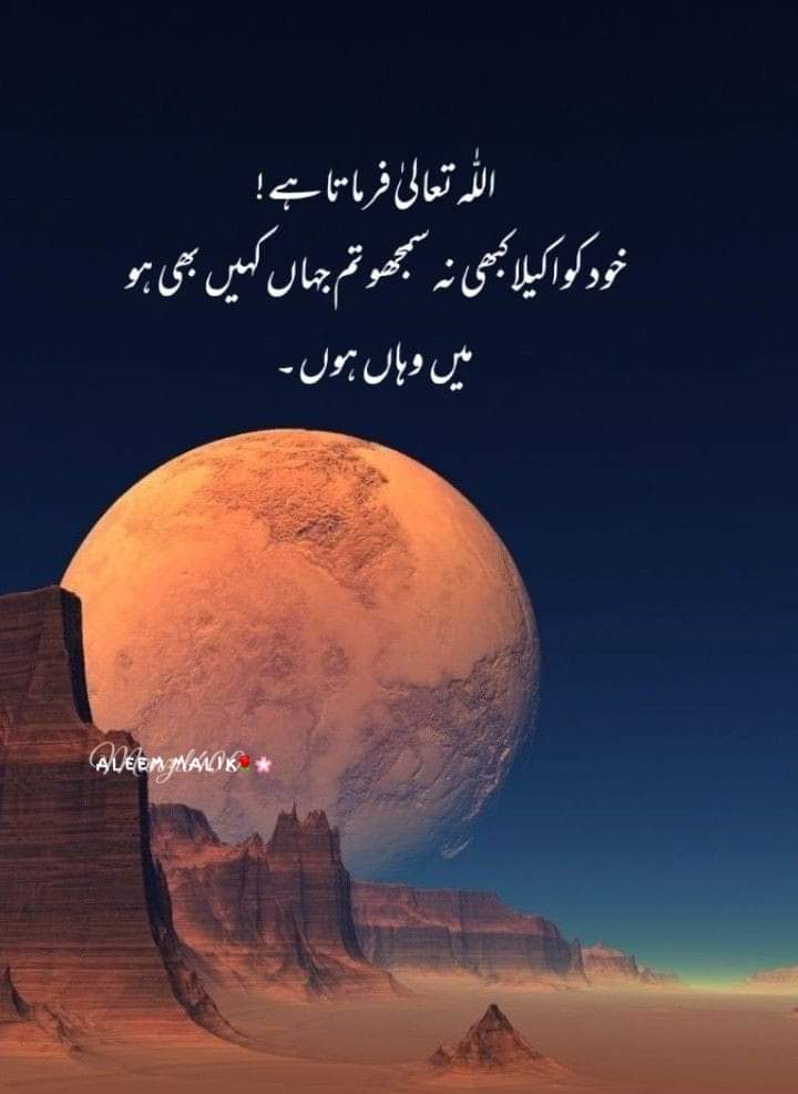 #OTDirecto2F #bbvipks2 #LoveIslandAllStars #AFCON2023