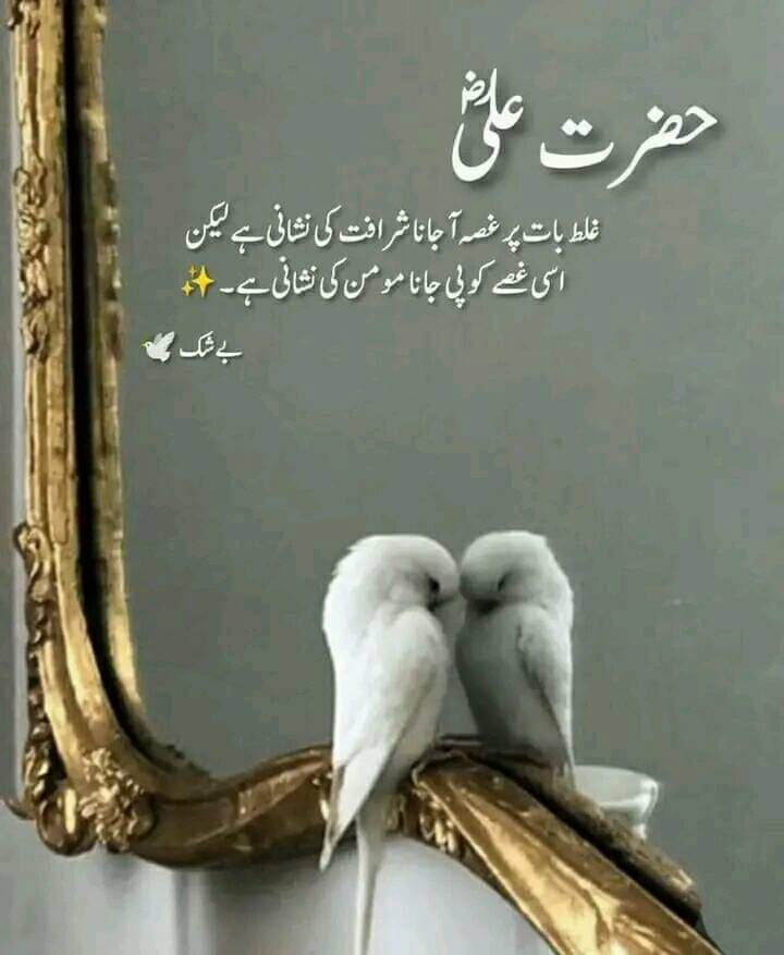 #OTDirecto2F #bbvipks2 #LoveIslandAllStars #AFCON2023 #AllStars