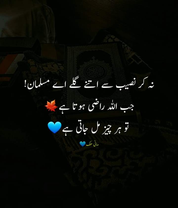 #OTDirecto2F #bbvipks2 #LoveIslandAllStars #AFCON2023 #AFCON2024