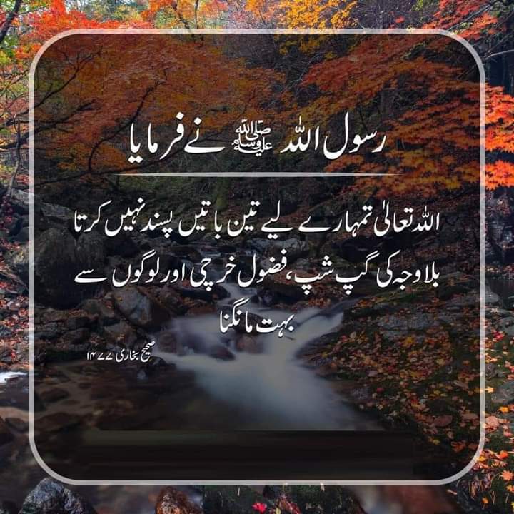 #OTDirecto2F #bbvipks2 #LoveIslandAllStars #AFCON2023 #AllStars