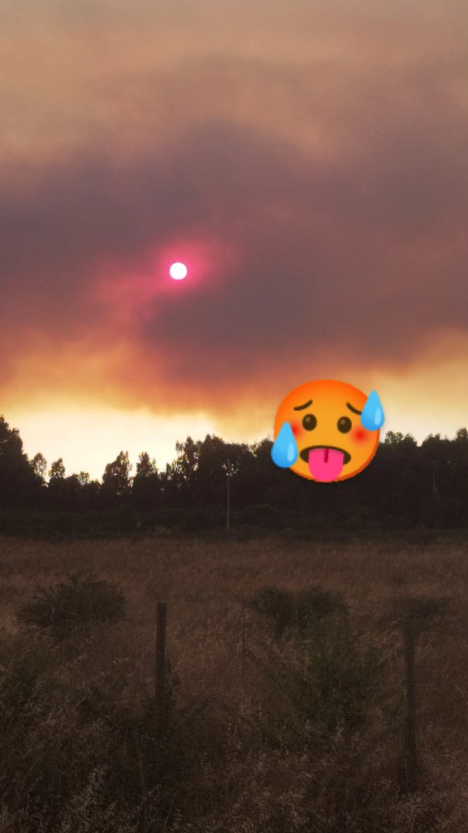 Denisse Moris tweet media