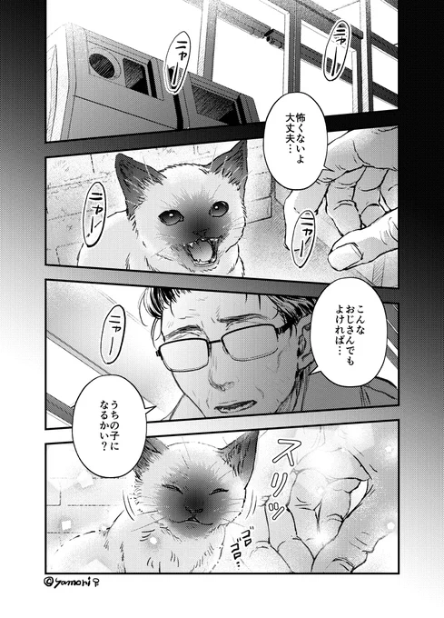 優しそうなおじさんに子猫が拾われる話(4枚)
#創作 