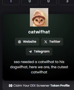 catwifhateth's tweet photo. Pleased to say @dexscreener has been updated. $catwifhat https://t.co/k8lMLOp0IY
