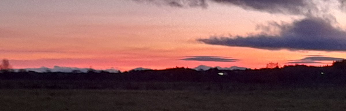 TalentCoop's tweet photo. A bonus to walking the dogs .... a favourite palette! ๐๐
NN #Tweethearts #Xhearts #Bravehearts
Happy weekend to all ๐
#MindYourself
#Gaza that #CeaseFire is ever closer....don't lose hope, it's within your grasp ๐๐๐๐โ๏ธ https://t.co/S97c5ctZdK